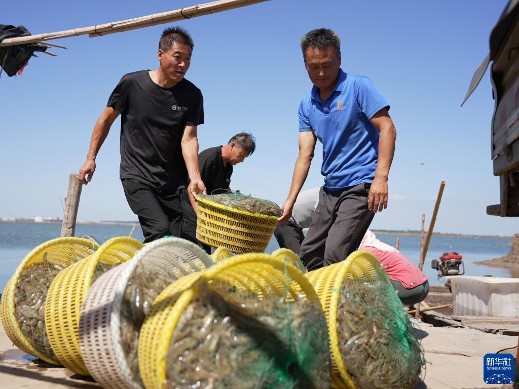 易利娱乐怎样反水
